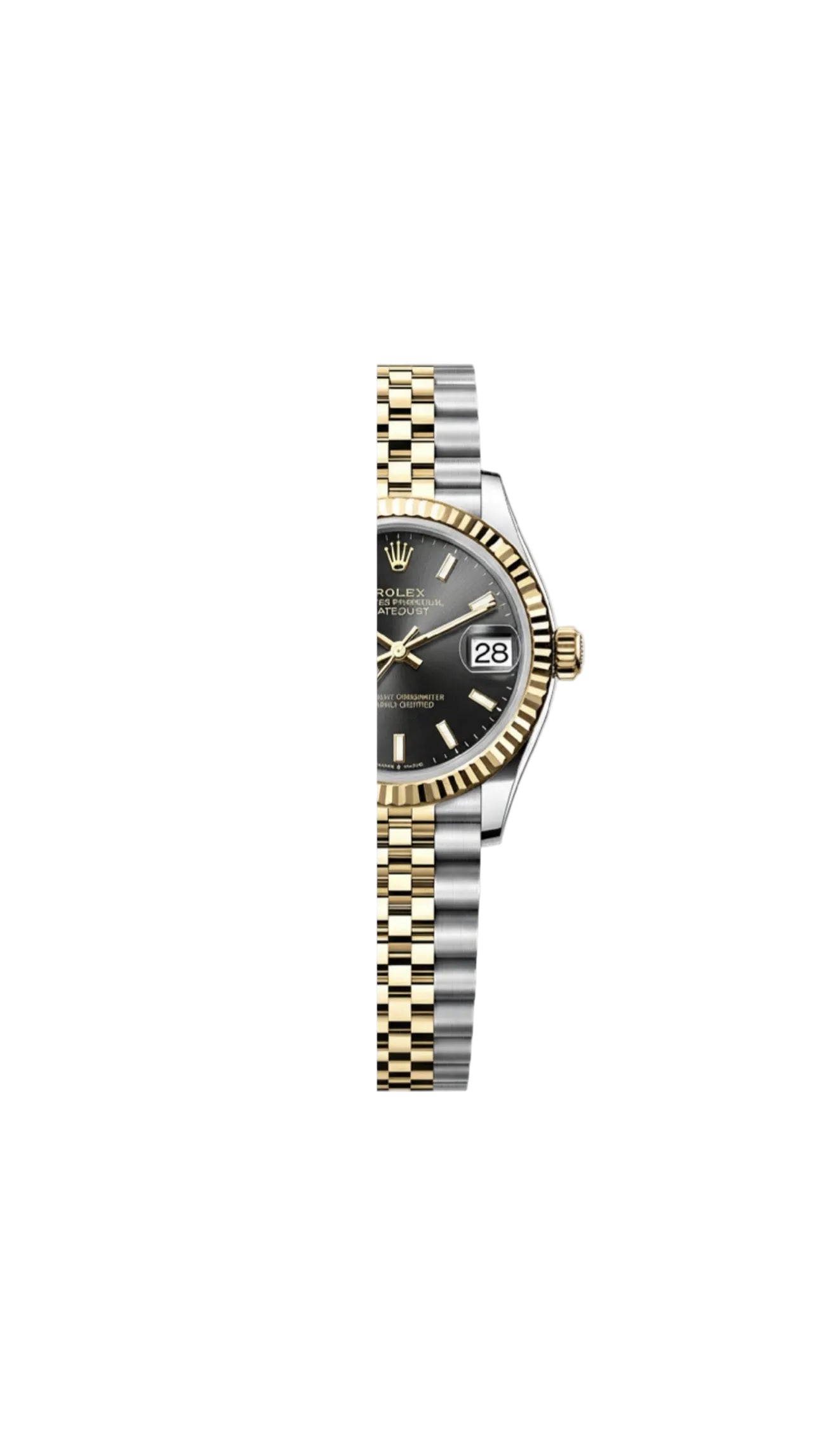 ( BAYAN) DateJust 34 mm + KutuD